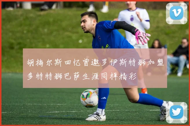 胡梅尔斯回忆曾邀罗伊斯特狮加盟多特特狮巴萨生涯同样精彩